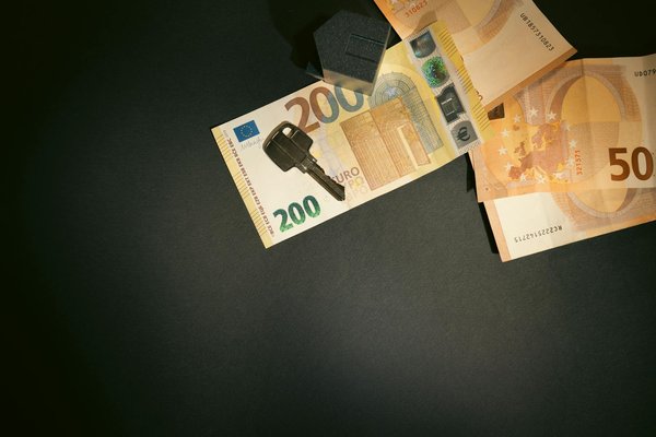 How can you create a routine that works best for both you and your pet?